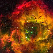 The Rosette Nebula, with box