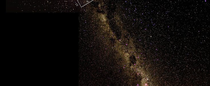 New Insight into the Bar in the Center of the Milky Way