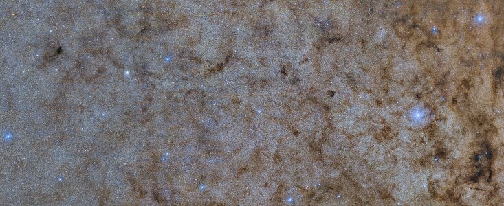 Imagen del bulbo de la Vía Láctea tomado por DECam