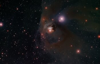 T Tauri in NGC 1555