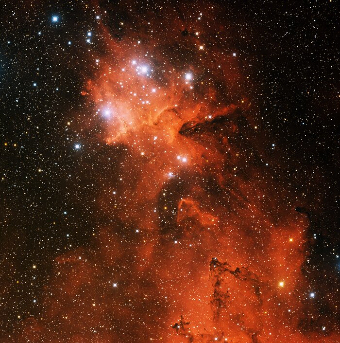 Open Cluster IC 1805