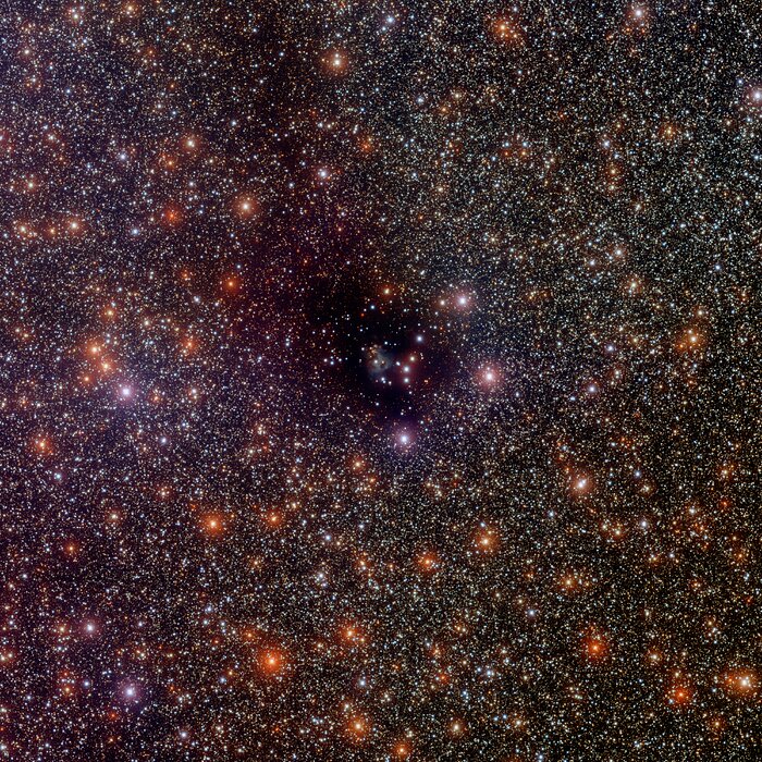 La Nebulosa Oscura LDN 810