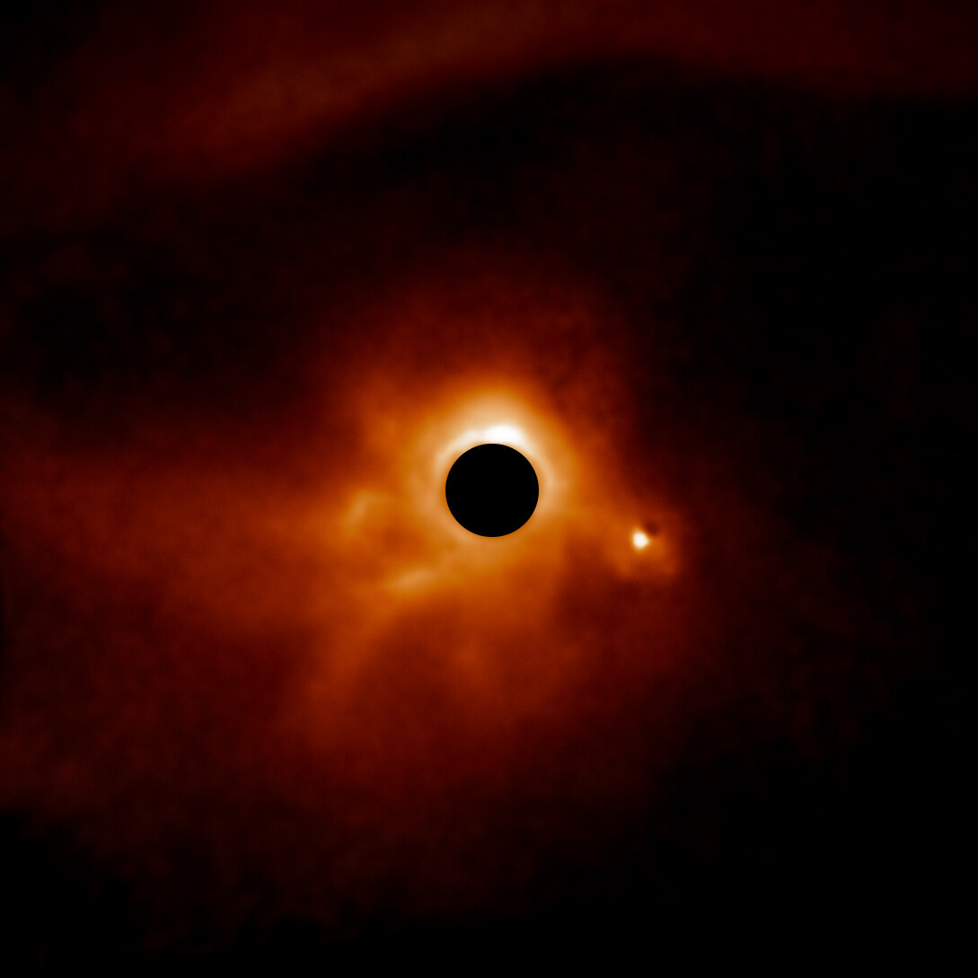 Newswise: Dusty Disks Imaged from NSF’s NOIRLab