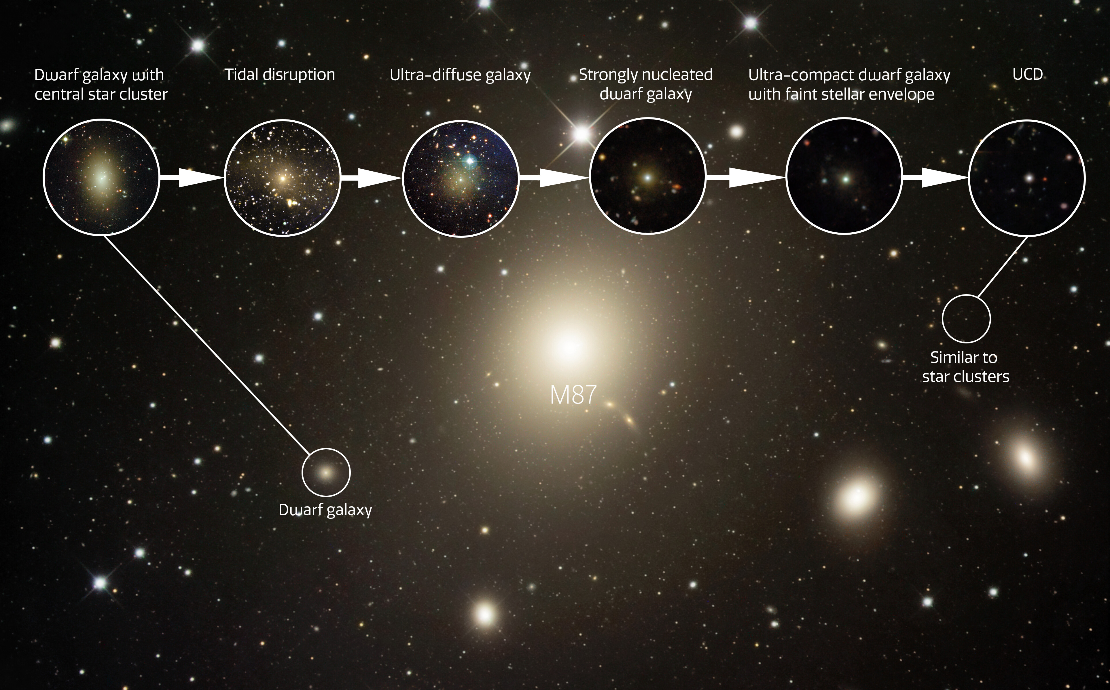 Image showing a continuum of galaxies captured at different stages of the transformation process from a dwarf galaxy to an ultra-compact dwarf galaxy.