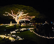 Garden Enchantment at Liliʻuokalani Gardens in Hilo, Hawaiʻi.