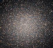 Globular Clusters and Omega Centauri