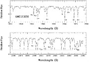 Two sample PHOENIX spectra of red giant star