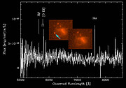 Gemini Multi-Object Spectrograph spectrum of the GRB host galaxy GRB050709