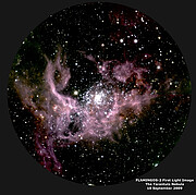 FLAMINGOS-2 image of the Tarantula Nebula