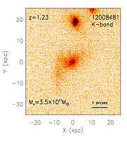 NIRI image of Galaxy 12008481