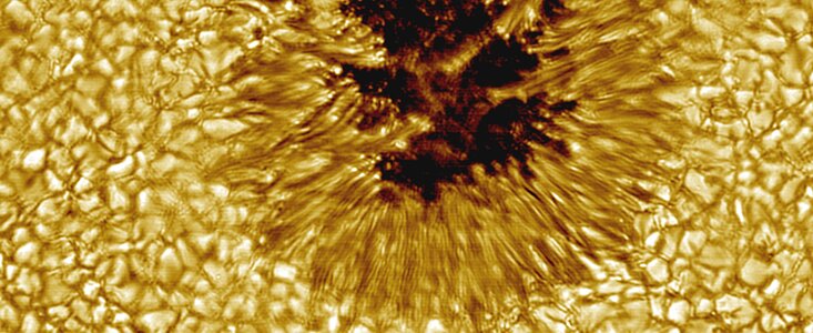 Sunspot from the NSO Sacramento Peak Vacuum Tower Telescope