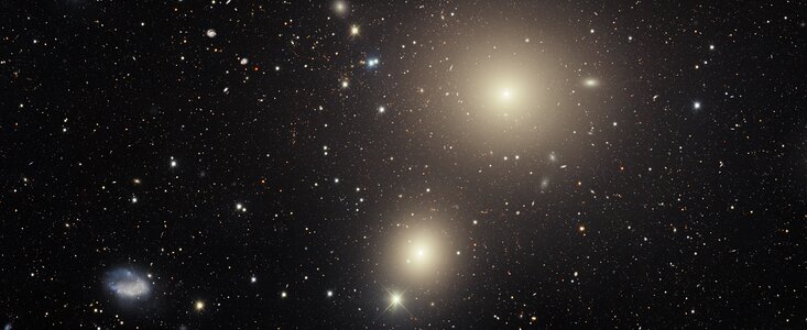 Galaxies in the Fornax Cluster