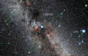 Cygnus