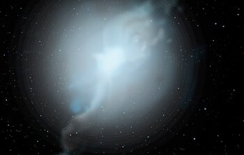 Some Rare Abnormal Stars may have White Dwarf Parents to Blame