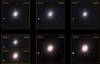 Astronomers Feast on First Light From Gravitational Wave Event