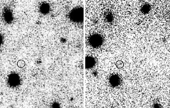 Deep near infrared Gemini observations with NIRI refute alleged redshift z = 10 galaxy