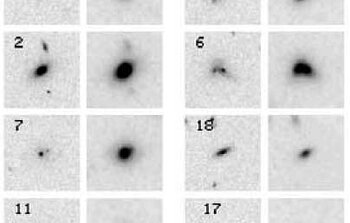 HST imaging with NICMOS and ACS allowed the study of galaxy morphologies in the young cluster