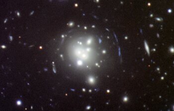 Massive Cluster Galaxies Move in Unexpected Ways