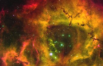 Fitful Young Star Sputters to Maturity in the Rosette Nebula
