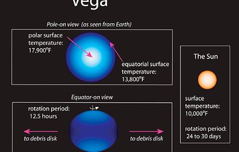 Rapidly Spinning Star Vega has Cool Dark Equator