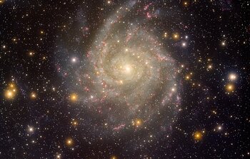 Spiral Galaxy Image Benefits From Vigilance on Dark Skies