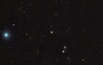 Wide-Field View of NGC 1566