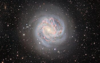 The Outskirts of the Southern Pinwheel Galaxy