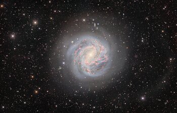 The Southern Pinwheel Galaxy (rotated)