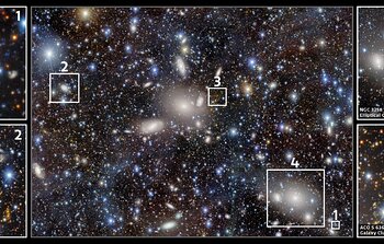 Cosmic Gems Within the Antlia Cluster