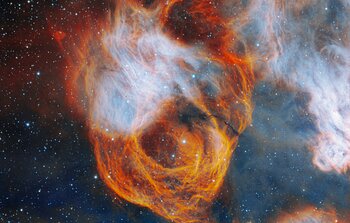 Una rosa ardiente capturada por Gemini Sur