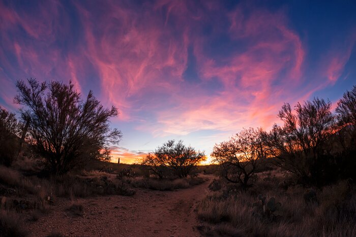 Tucson Sunset