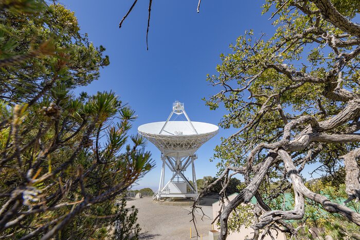 Very Long Baseline Array Dish in Shrubs