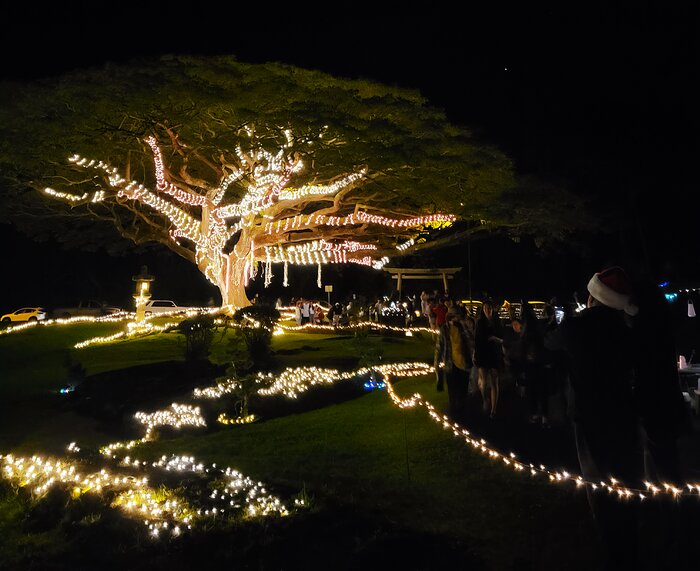 Garden Enchantment at Liliʻuokalani Gardens in Hilo, Hawaiʻi.