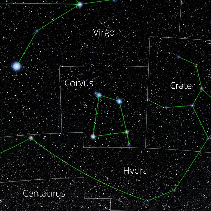 Corvus (Annotated)