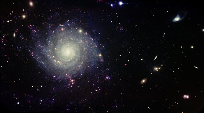 Una Agraciada Espiral en Media de un Bosque de Galaxias