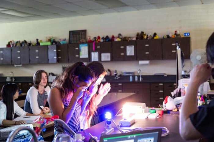 Students observing light colors during Journey