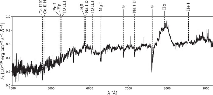 GMOS spectrum of J0045+41 with all identified lines labeled