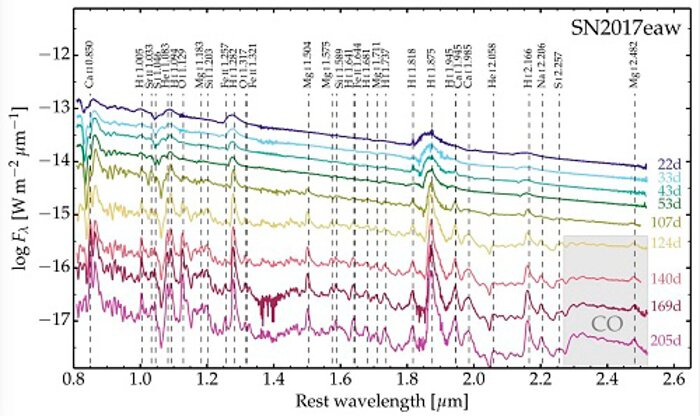 Gemini/GNIRS spectra of SN 2017eaw