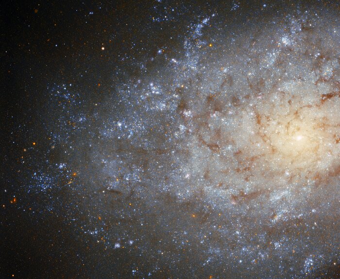 A Very Wooly Galaxy