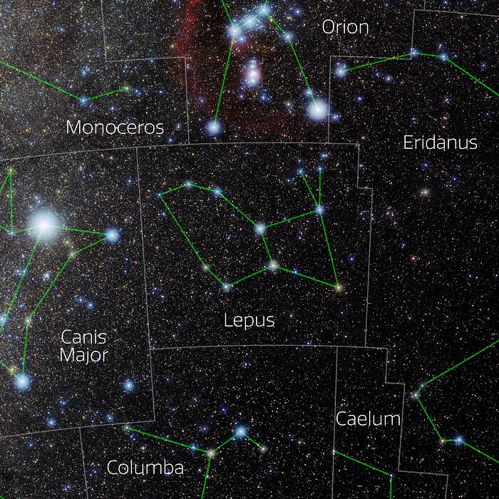 Lepus (Annotated)