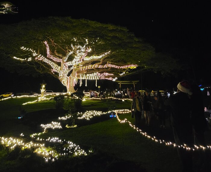 Liliʻuokalani gardens 2022