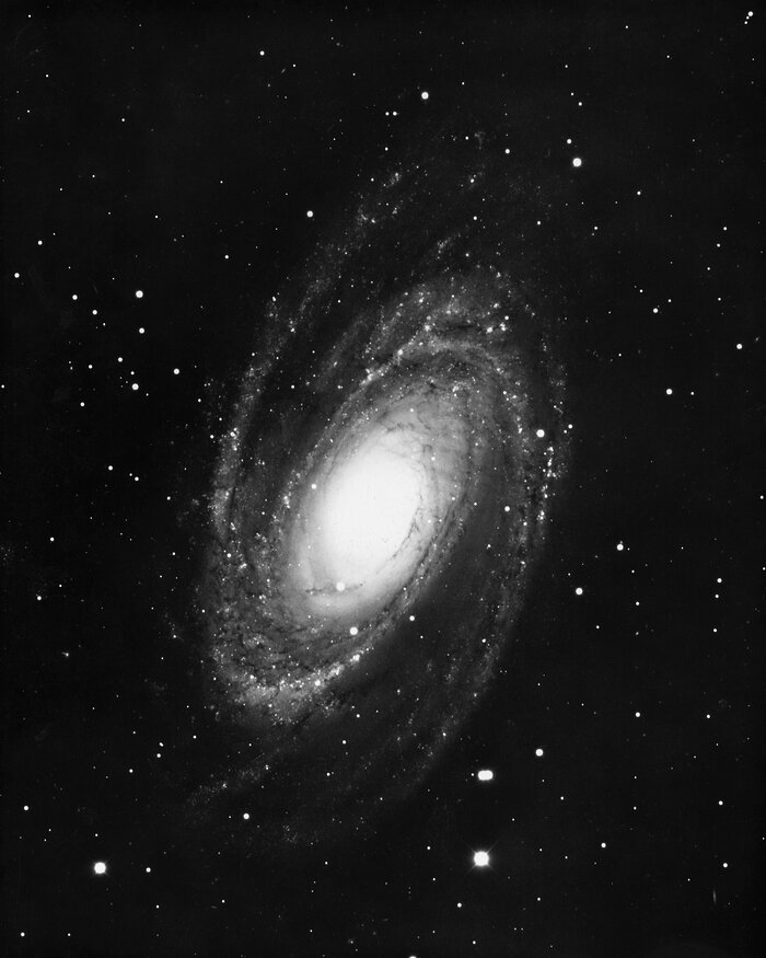 M81, NGC 3031