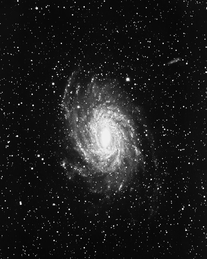NGC 6744 in Pavo