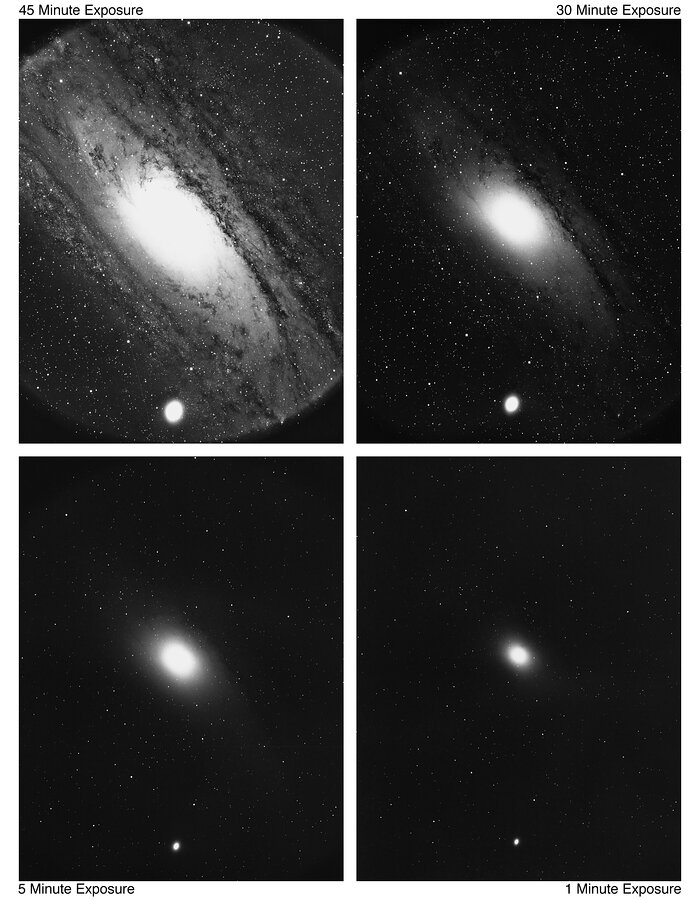 M31/M32 (NGC 224/221)