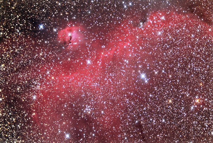 Gum 1: Seagull Nebula