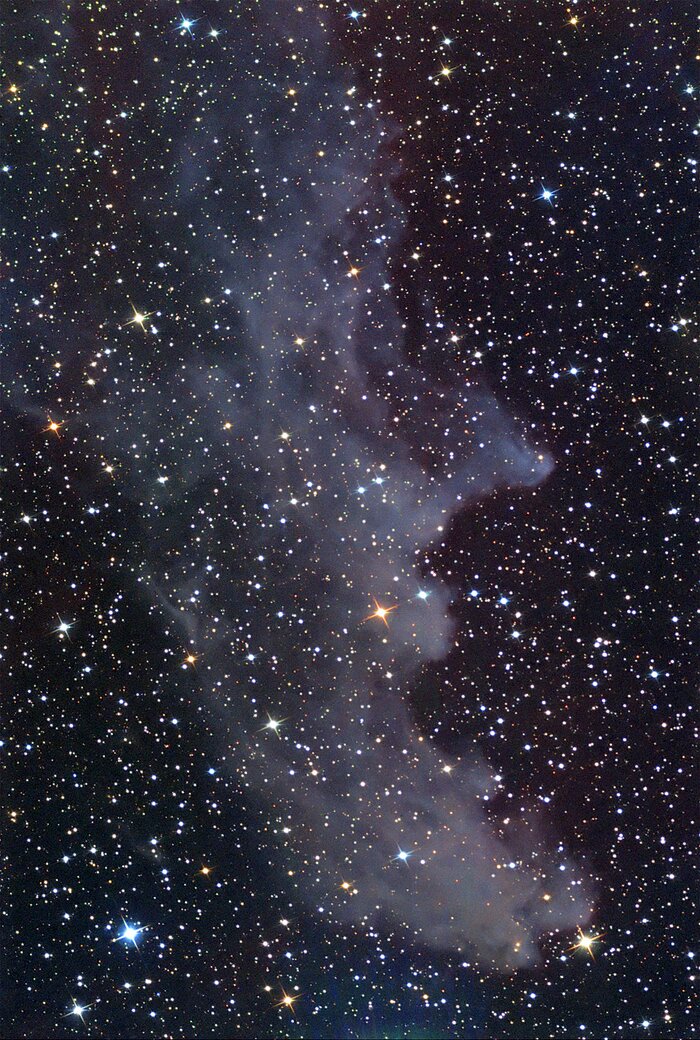 IC 2118: The Witchhead Nebula