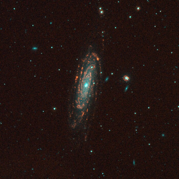 NGC 3200, SINGG Survey