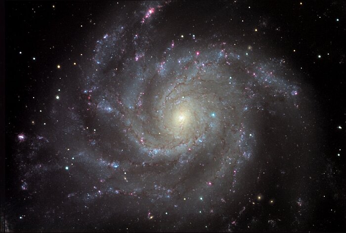 M101