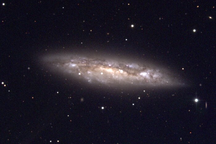 M108, NGC 3556