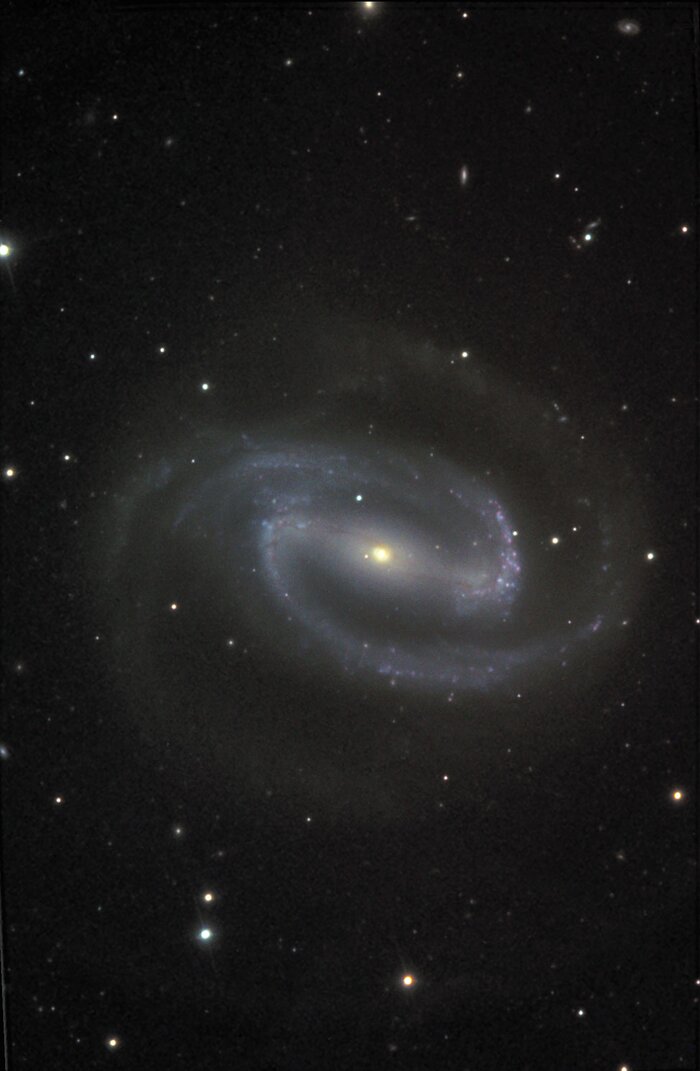 NGC 1300